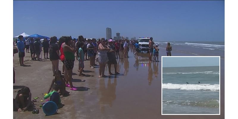 Shark attack on South Padre Island leaves several people hurt on Fourth of July