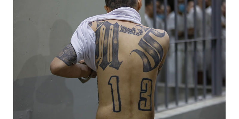 12 indicted in South Florida drug trafficking ring involving MS-13, Mexican Mafia