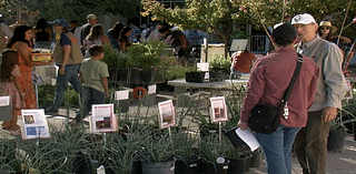 Florafest delights local gardeners