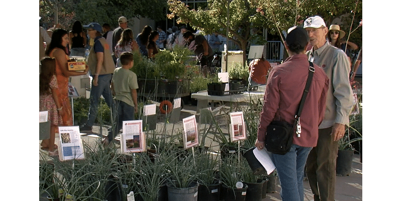 Florafest delights local gardeners