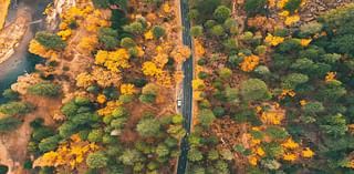 Yes, We Have Fall Colors in Los Angeles