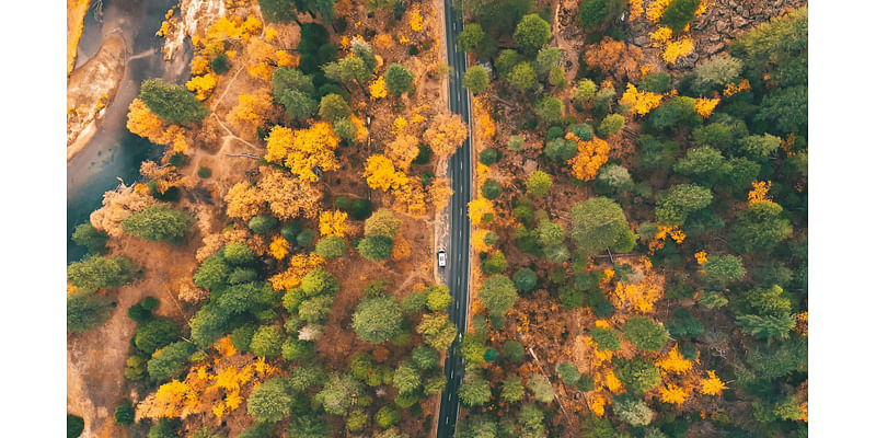 Yes, We Have Fall Colors in Los Angeles