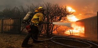 Dry weather fuels wildfires on both coasts