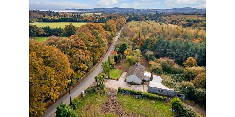 17-acre Wicklow farm with three bed bungalow priced at €650,000 ahead of auction