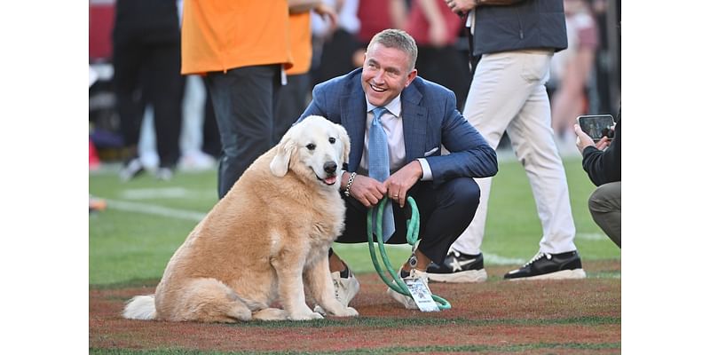 Kirk Herbstreit’s famous dog Ben dies: ‘Bless his majestic soul’