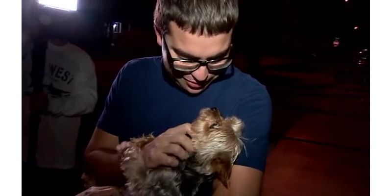 ‘I got my baby back’: Yorkie taken from Hialeah home returned to owner after video showed man picking up pet - WSVN 7News