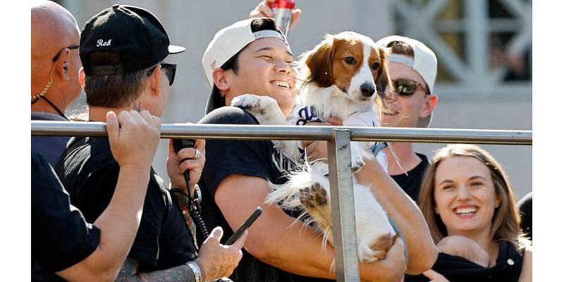 Los Angeles Dodgers: Shohei Ohtani, and his dog, steal the show at victory parade