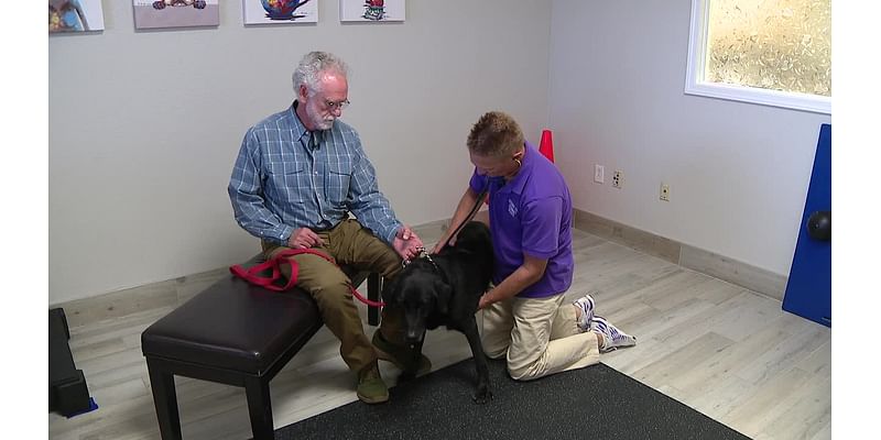 Clinical trial underway in North Texas for new drug that could extend a dog's lifespan