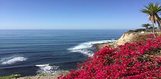 Decade-Long Lunada Bay Boys Lawsuit Settled By Palos Verdes Estates