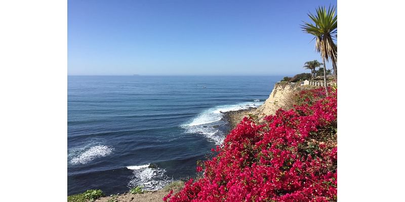 Decade-Long Lunada Bay Boys Lawsuit Settled By Palos Verdes Estates