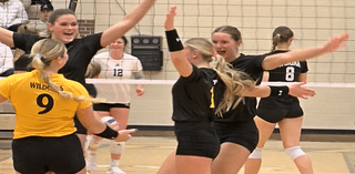 Local college volleyball highlights and scores (11-19-24)