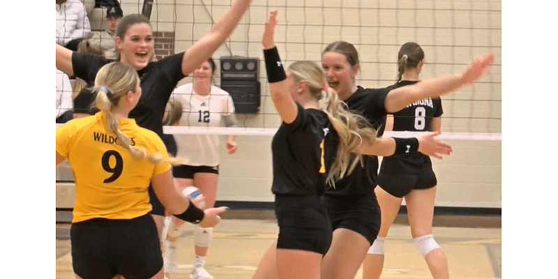 Local college volleyball highlights and scores (11-19-24)