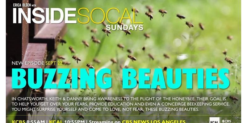 Inside SoCal | Buzzing Beauties (9/22)