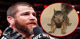 Peanut the Squirrel Shouted Out at UFC 309 and 'SNL'