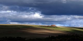 Campaigners call for ‘Domesday’ survey of nature efforts by large landowners