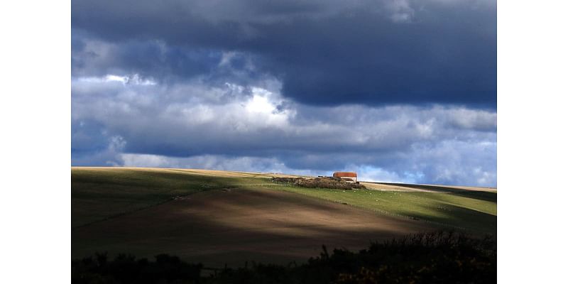 Campaigners call for ‘Domesday’ survey of nature efforts by large landowners