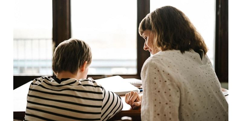 Wiltshire pupils moving to home education doubles