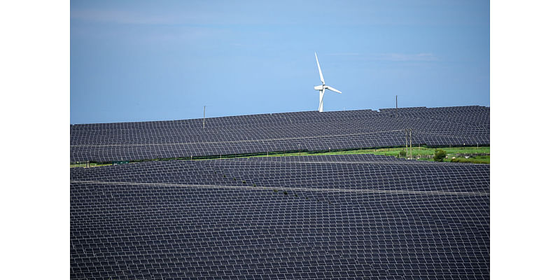 We Are Forced to Fight for Our Livelihood: Queensland Farmers Talk about Solar Farm Protest