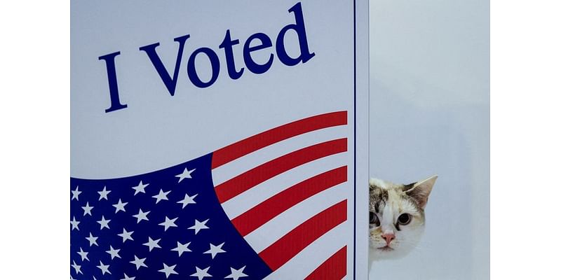 Behind the curtains: scenes from the US election