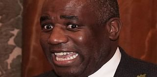 David Lammy refuses to back down on branding Donald Trump a 'neo-Nazi sympathiser' in the past - but insists they can now find 'common ground'