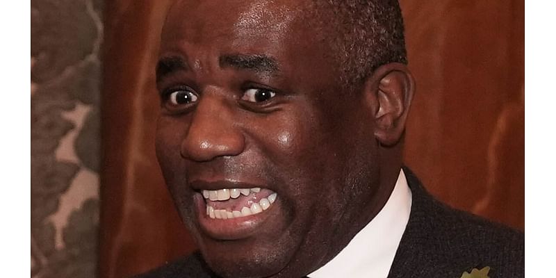 David Lammy refuses to back down on branding Donald Trump a 'neo-Nazi sympathiser' in the past - but insists they can now find 'common ground'