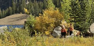 Social media sites helping Colorado leaf peepers find the best fall foliage