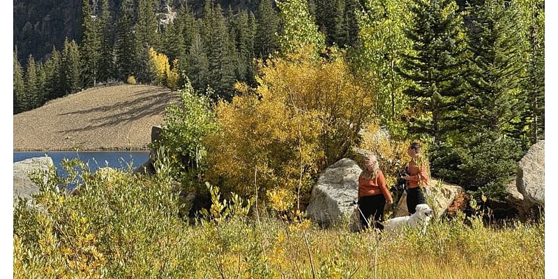 Social media sites helping Colorado leaf peepers find the best fall foliage