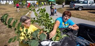 Wild Fall Festival at Lincoln's Pioneers Park offers small solution to tree eradication