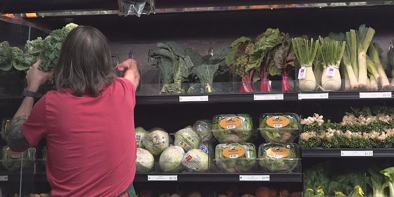 New collective aims to connect those struggling with food insecurity with proper resources