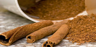 FDA Issues 3rd Public Health Alert for Cinnamon Products Containing Lead