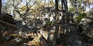 A Hexenkopf Rocks story, and it’s late-harvest and deer-rut season | Lehigh Valley Nature Watch