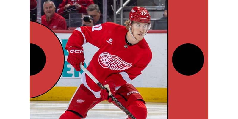 Detroit Red Wings 2024-25 season preview: Playoff chances, projected points, roster rankings