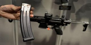 Federal judge strikes down Illinois assault weapons ban