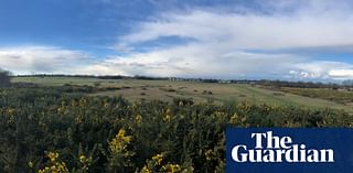 Sale of Essex acid grassland for homes would set ‘catastrophic precedent’