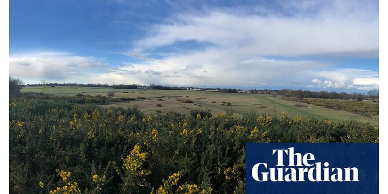 Sale of Essex acid grassland for homes would set ‘catastrophic precedent’