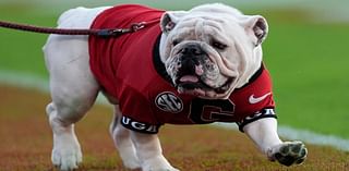 The bizarre reason Georgia football's live mascot Uga won't travel to Texas for mega college matchup