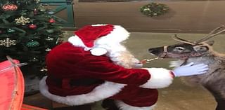 ‘Christmas Town’ returns to Belvidere’s Summerfield Zoo