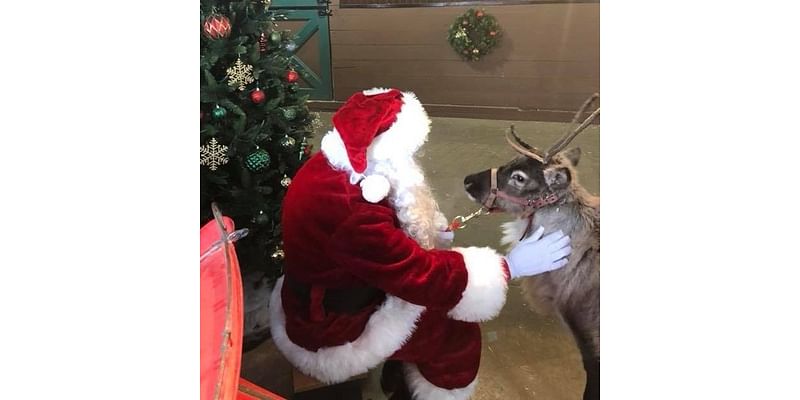 ‘Christmas Town’ returns to Belvidere’s Summerfield Zoo