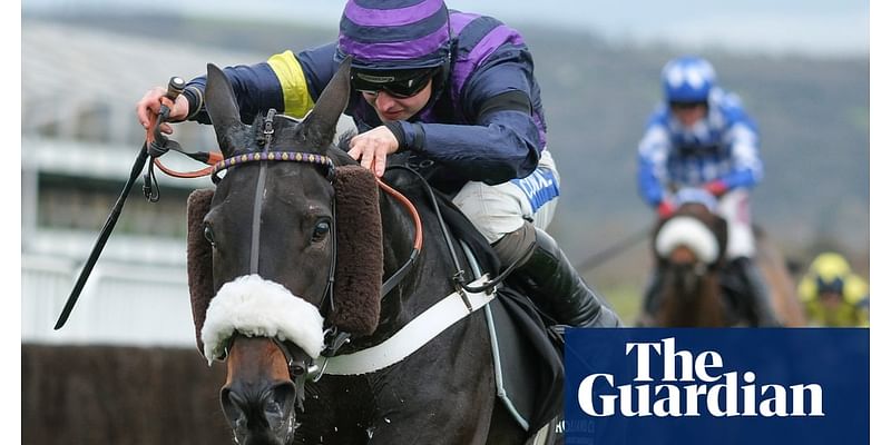 ITN report on Cheltenham horse deaths criticised by racing’s rulers