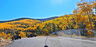 Aspens Light Up Countryside Near Santa Fe Ski Basin