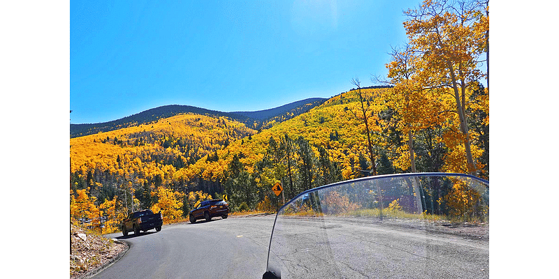 Aspens Light Up Countryside Near Santa Fe Ski Basin