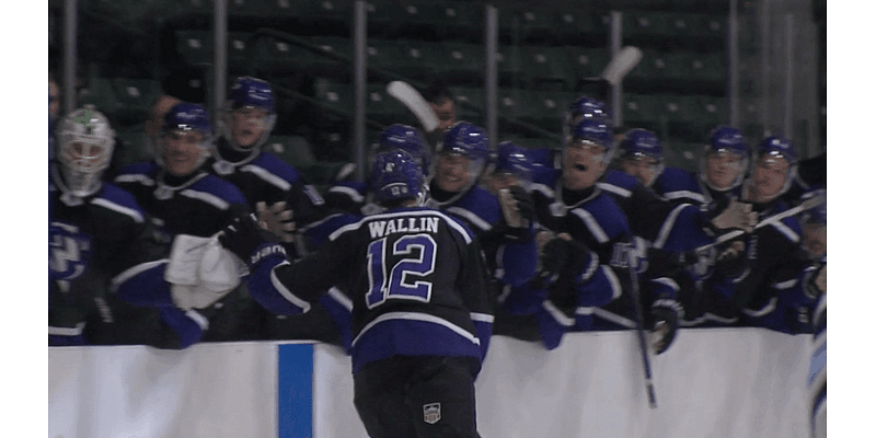 Roed's overtime winner hands Storm 4-3 victory over Capitols on Saturday night