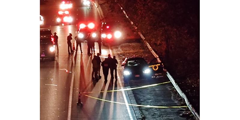 Criminal Probe Into Trooper Shot On Southern State Pkwy.: Report