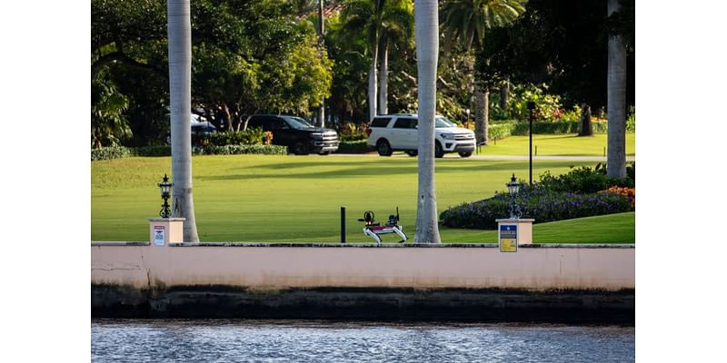 Robotic dogs are patrolling Mar-a-Lago to help protect Trump, Secret Service confirms