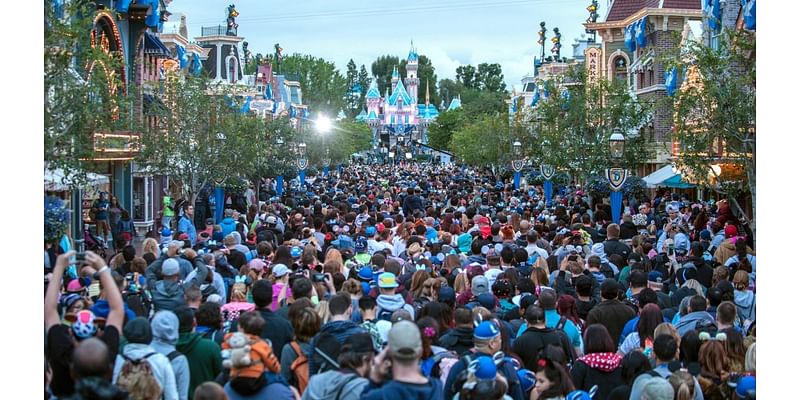 Niles: There’s much for theme park fans to look forward to in 2025