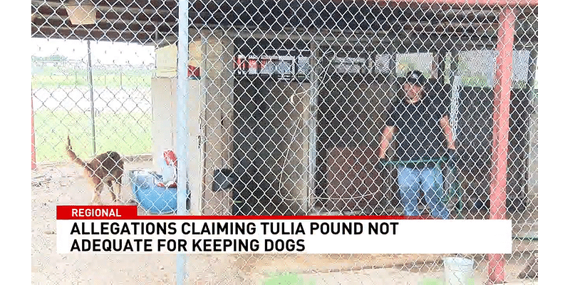 Allegations claim Tulia pound not adequate for keeping dogs