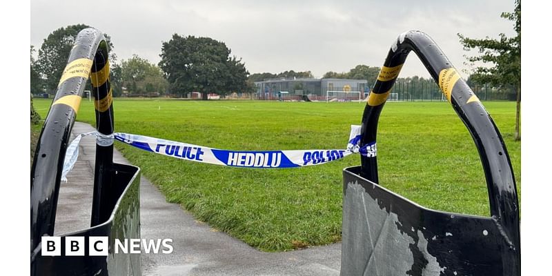 Splott: Police investigate serious sexual assault in Cardiff park