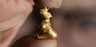 Metal detectorist makes the 'discovery of a lifetime' after unearthing a nugget of gold shaped like Britain