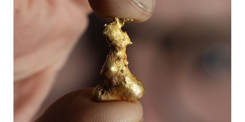 Metal detectorist makes the 'discovery of a lifetime' after unearthing a nugget of gold shaped like Britain