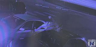 Man steals purse from car by climbing through open sunroof in Colorado